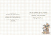 KJV Boxed Cards - Christmas, Christmas Spice by Heartwarming Thoughts