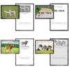 KJV Boxed Cards - Birthday, Animal Friends by Family Treasures