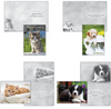 KJV Boxed Cards - Get Well, Baby Animals by Family Treasures