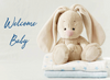 KJV Boxed Cards - Baby, Small Wonder by Family Treasures