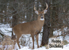 KJV Boxed Cards - Birthday, Deer by Family Treasures
