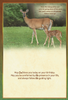 KJV Boxed Cards - Birthday, Deer by Family Treasures