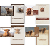 KJV Boxed Cards - Birthday, Highlanders by Family Treasures
