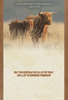KJV Boxed Cards - Birthday, Highlanders by Family Treasures