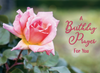 KJV Boxed Cards - Birthday, Roses by Family Treasures