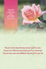 KJV Boxed Cards - Birthday, Roses by Family Treasures