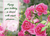 KJV Boxed Cards - Birthday, Roses by Family Treasures
