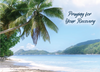 KJV Boxed Cards - Praying For You, Coastal Sunshine by Family Treasures