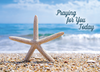 KJV Boxed Cards - Praying For You, Coastal Sunshine by Family Treasures