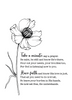 KJV Boxed Cards - Encouragement, Trust in Him by Family Treasures