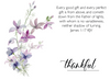 KJV Boxed Cards - Thank You, Words of Appreciation by Family Treasures