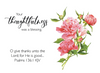 KJV Boxed Cards - Thank You, Words of Appreciation by Family Treasures