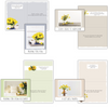 KJV Boxed Cards - Get Well, Sunny Thoughts by Family Treasures