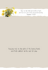 KJV Boxed Cards - Get Well, Sunny Thoughts by Family Treasures
