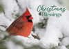 KJV Boxed Cards - Christmas, Holiday Blessings by Family Treasures
