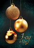 KJV Boxed Cards - Christmas, The Wonder of Christmas