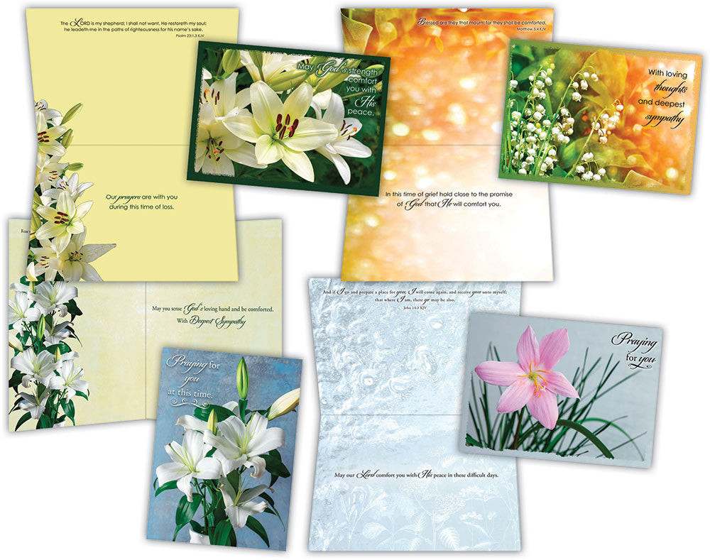 KJV Boxed Cards Sympathy, Lilies Melt the Heart