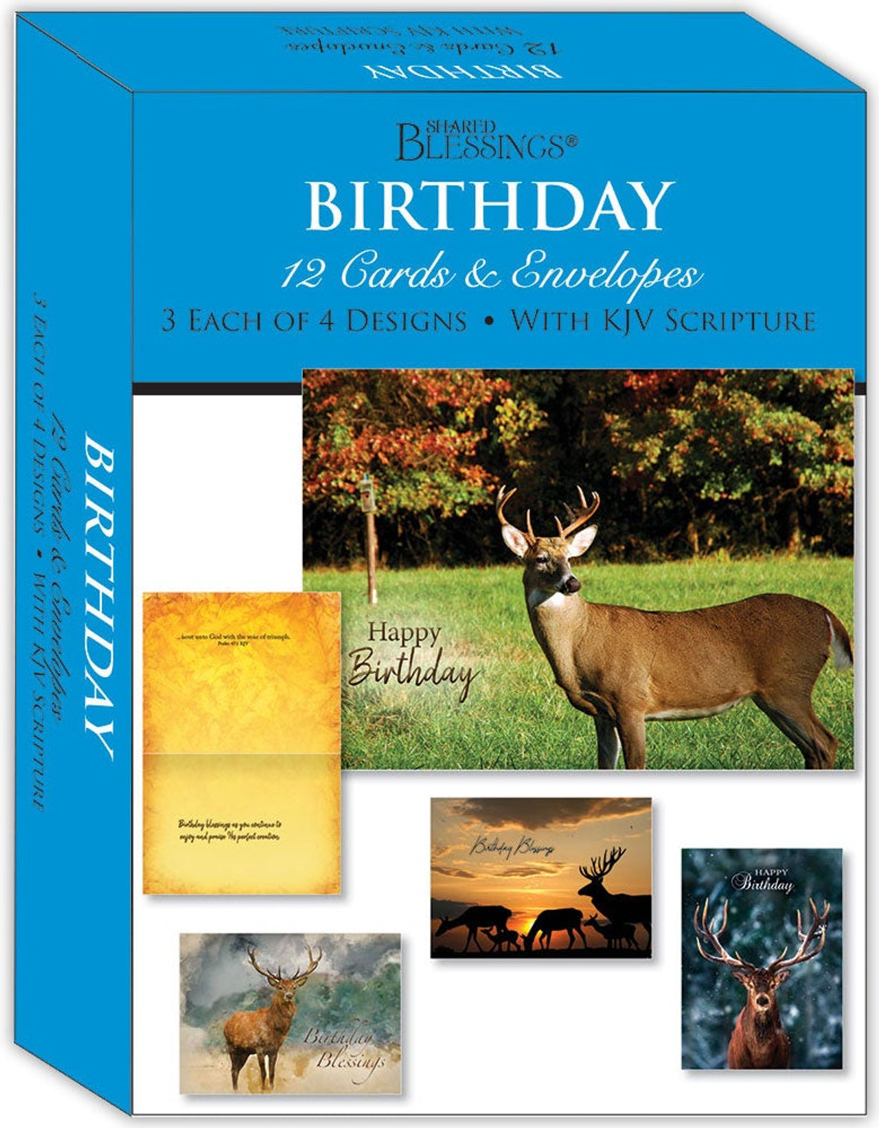 kjv-boxed-cards-birthday-wildlife-melt-the-heart