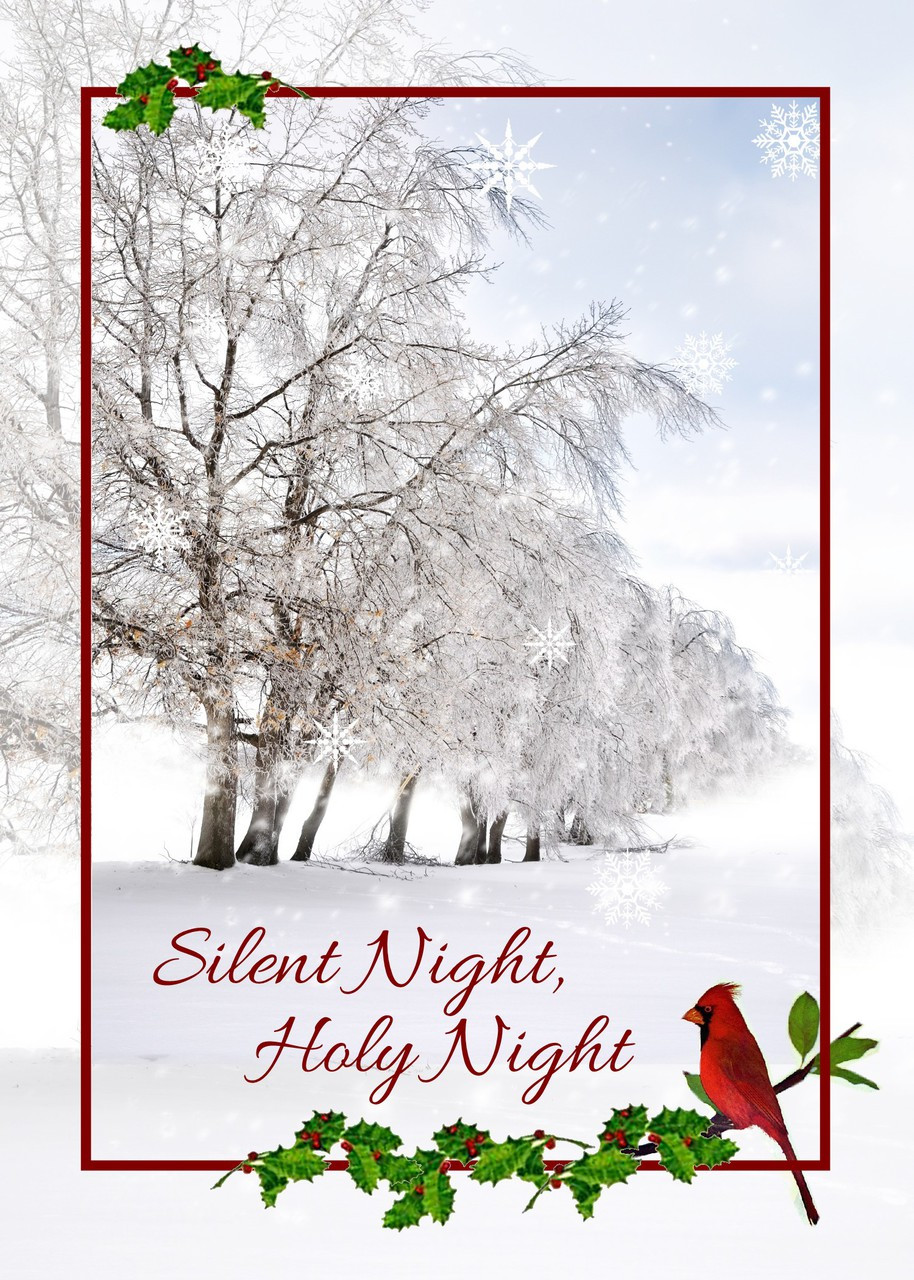 Oh, Holy Night - 50 Christmas Boxed Cards, KJV