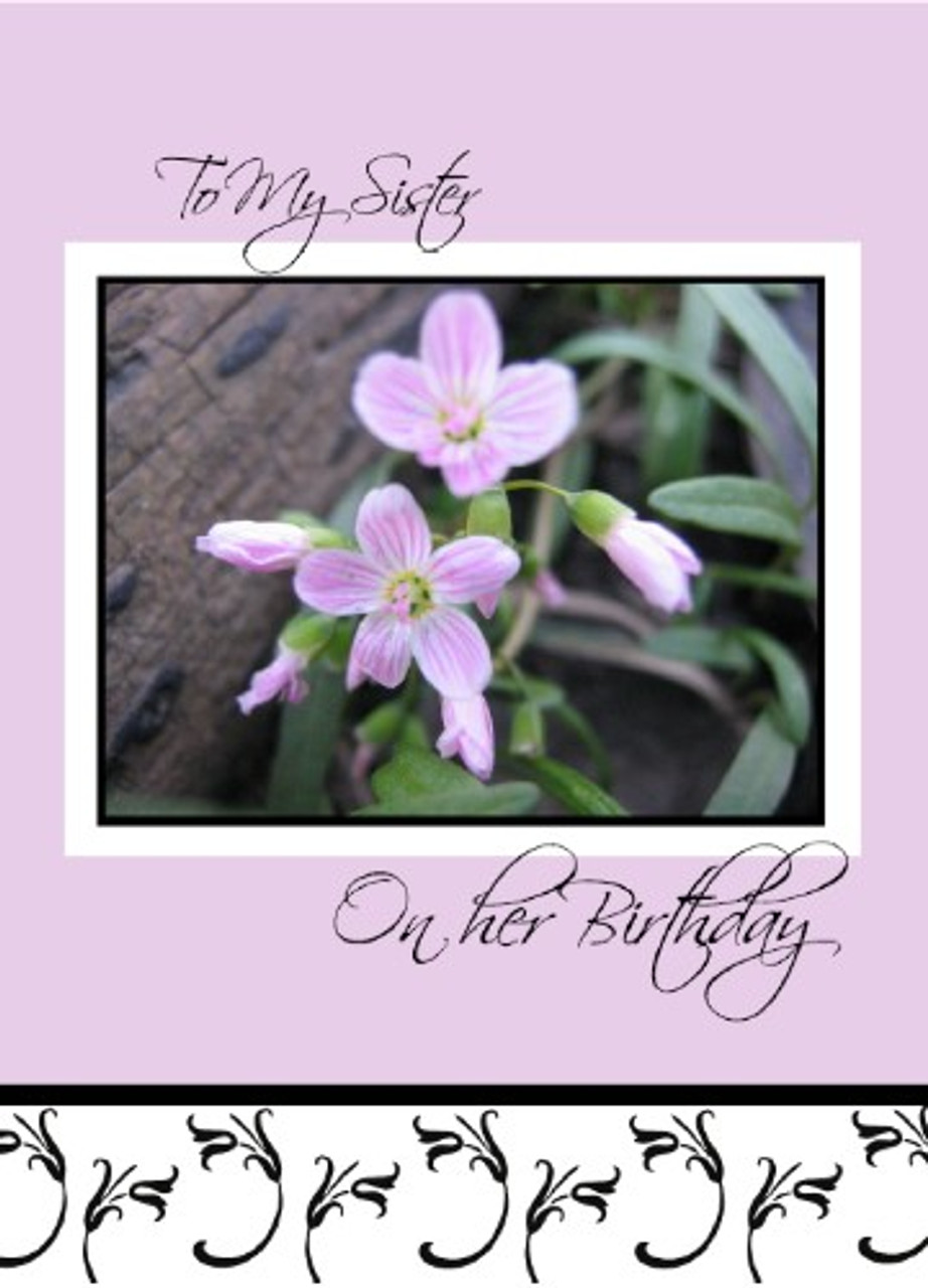 to-my-sister-on-her-birthday-5-x-7-kjv-greeting-card-melt-the-heart