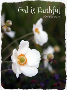 God is Faithful  - 5 Blank Notecards