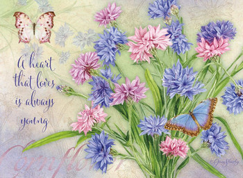KJV Boxed Cards - Birthday, Butterfly Blooms by Heartwarming Thought KJV Boxed Cards - Birthday, Butterfly Blooms by Heartwarming Thought