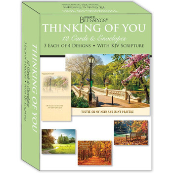 KJV Boxed Cards - Thinking of You, Pathways by Shared Blessings