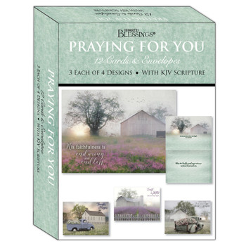 KJV Boxed Cards - Praying for You, Quiet Places by Shared Blessings