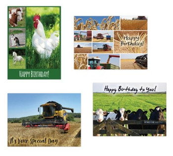 KJV Boxed Cards -Birthday, on the Farm