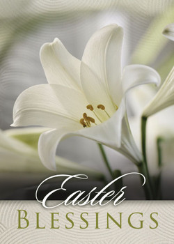 KJV Boxed Cards - Easter, Celebrate Jesus! by Christian Art Greetings