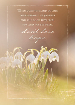 KJV Boxed Cards - Empathy, Perfect Peace by Christian Art Greetings