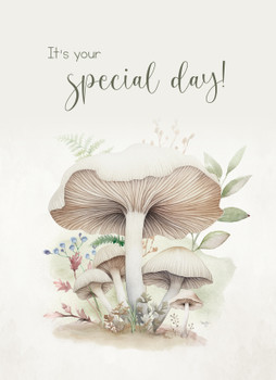 KJV Boxed Cards - Birthday, Mushrooms by Heartwarming Thoughts
