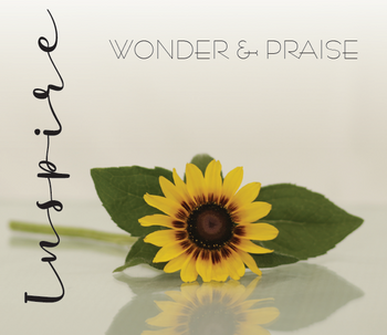 Wonder and Praise MP3 by Inspire