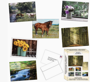 Boxed Cards - Cumpleanos, Dios te Celebra (Birthday, God Celebrates You SPANISH) by Shared Blessings