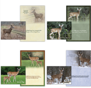 KJV Boxed Cards - Birthday, Deer by Family Treasures