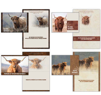 KJV Boxed Cards - Birthday, Highlanders by Family Treasures
