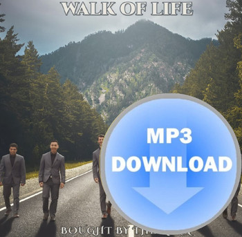 Walk of Life MP3 by Bought by the King