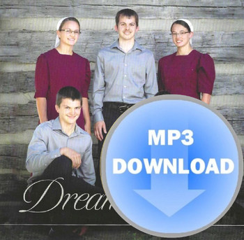 Dream of a City MP3 by The Fisher's