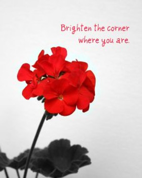 Brighten the Corner - 5 Blank Notecards