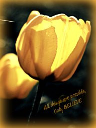 Only Believe - 5 Blank Notecards