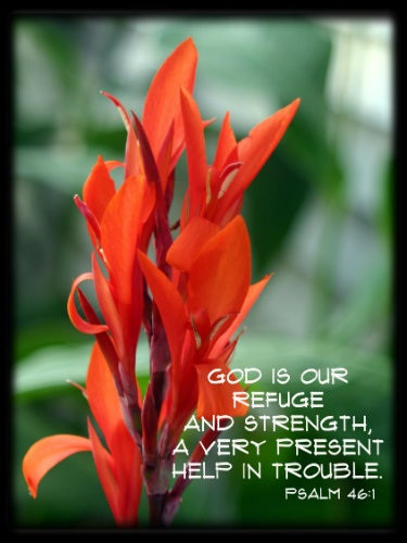 God Is Our Refuge - 5 Blank Notecards