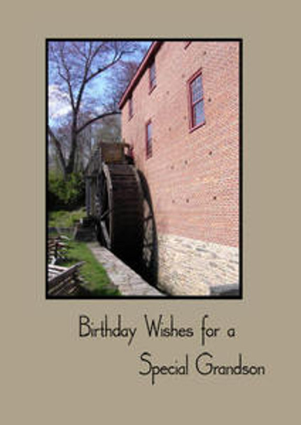 Birthday Wishes for a Special Grandson - 5" x 7" KJV Greeting Card