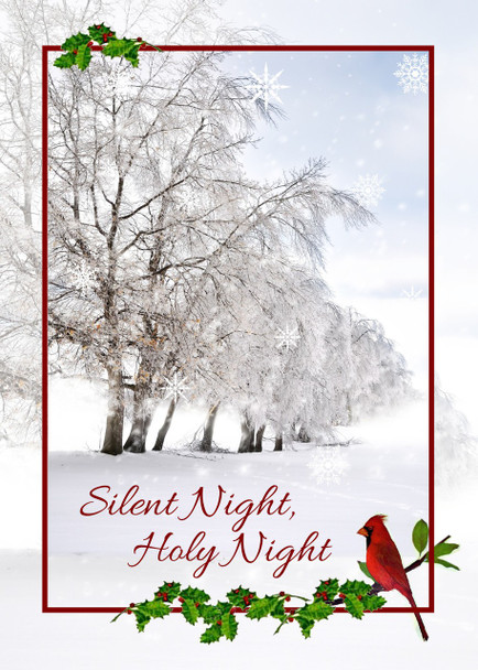 Silent Night, Holy Night Christmas Card - 5" x 7" KJV Greeting Card