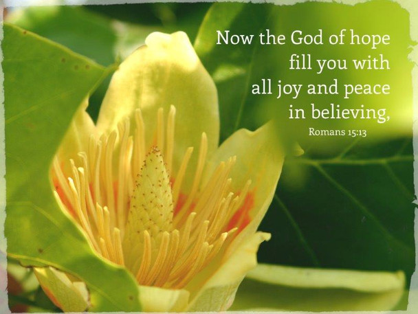 God of All Hope - 5 Blank Notecards