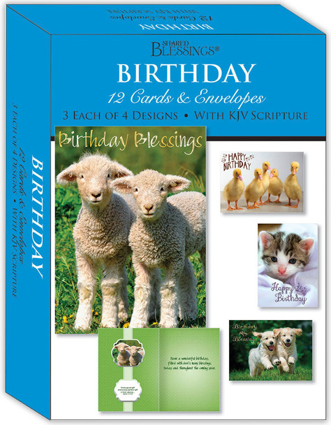 KJV Boxed Cards - Birthday, Fur and Feathers