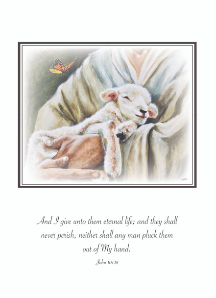 KJV Boxed Cards - Sympathy, The Master's Hand  by Heartwarming Thoughts