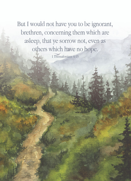 KJV Boxed Cards - Sympathy, Mountain Mist  by Heartwarming Thoughts
