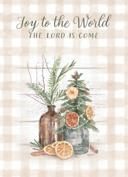 KJV Boxed Cards - Christmas, Christmas Spice by Heartwarming Thoughts