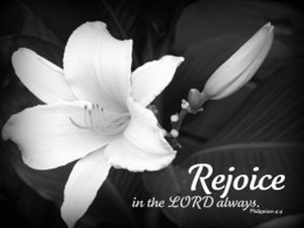 Rejoice in the Lord - 5 Blank Notecards