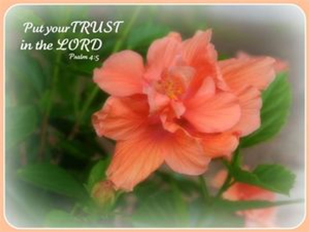 Put Your Trust in the Lord - 5 Blank Notecards